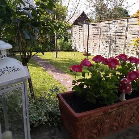 Apartamento Kardos *